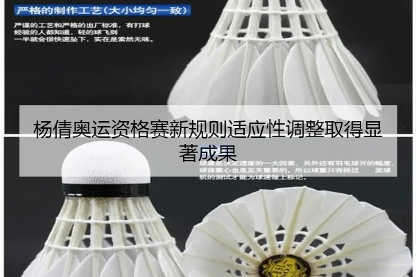 yang-qian-ao-yun-zi-ge-sai-xin-gui-ze-shi-ying-xing-tiao-zheng-qu-de-xian-zhu-cheng-guo-3-690.jpg